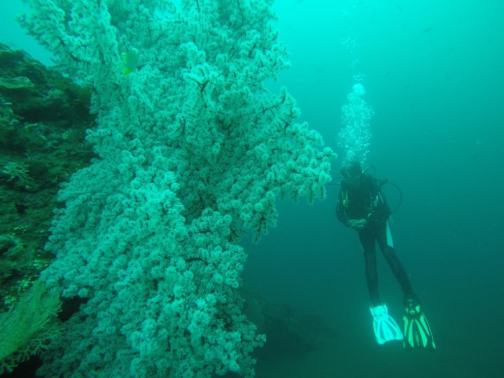Ocean View Tulamben Dive & Resort Extérieur photo