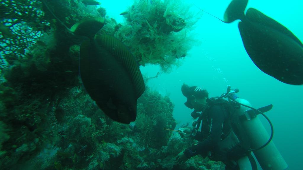 Ocean View Tulamben Dive & Resort Extérieur photo